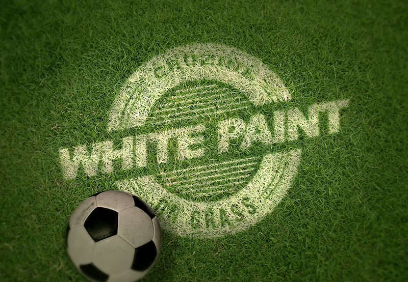 Logo Mockup - Color Paint on Grass